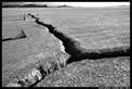 Black & white California images