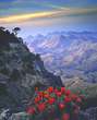 Texas landscape photography, mountains