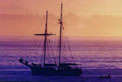 ship, boat, harbor, California