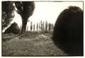 black and white photography, Romania, England, Wales